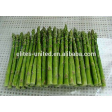 Chinese IQF frozen fresh asparagus vegetable